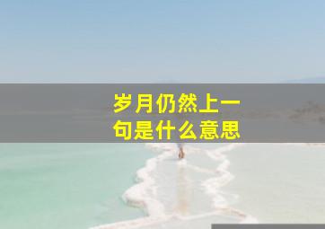 岁月仍然上一句是什么意思