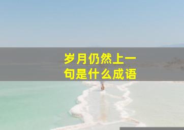 岁月仍然上一句是什么成语