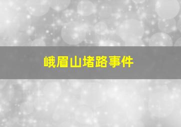 峨眉山堵路事件