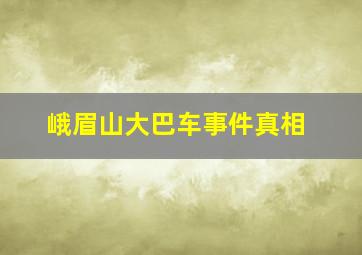 峨眉山大巴车事件真相