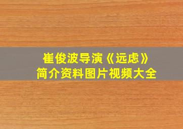 崔俊波导演《远虑》简介资料图片视频大全