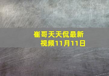 崔哥天天侃最新视频11月11日