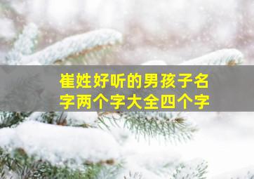 崔姓好听的男孩子名字两个字大全四个字