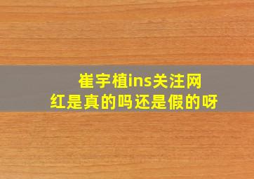 崔宇植ins关注网红是真的吗还是假的呀