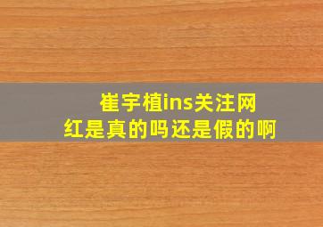 崔宇植ins关注网红是真的吗还是假的啊