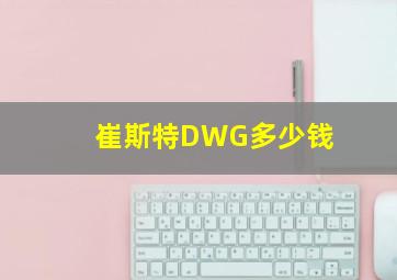 崔斯特DWG多少钱