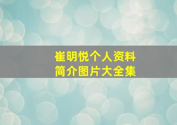 崔明悦个人资料简介图片大全集