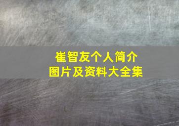 崔智友个人简介图片及资料大全集