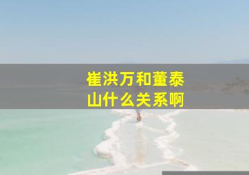 崔洪万和董泰山什么关系啊