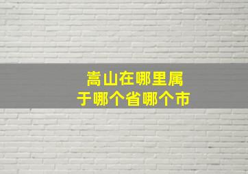 嵩山在哪里属于哪个省哪个市