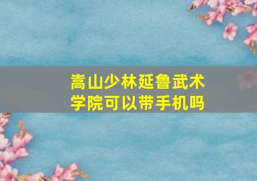 嵩山少林延鲁武术学院可以带手机吗