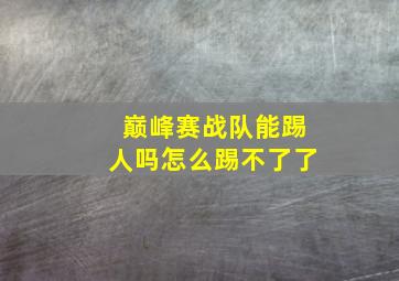 巅峰赛战队能踢人吗怎么踢不了了