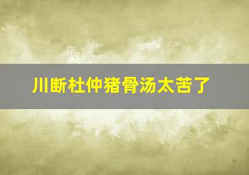 川断杜仲猪骨汤太苦了