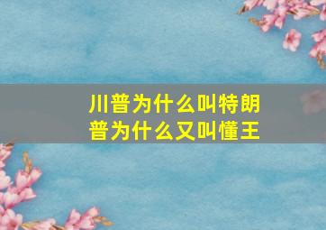 川普为什么叫特朗普为什么又叫懂王