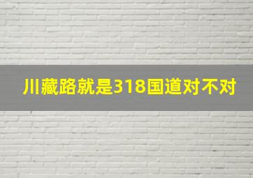 川藏路就是318国道对不对