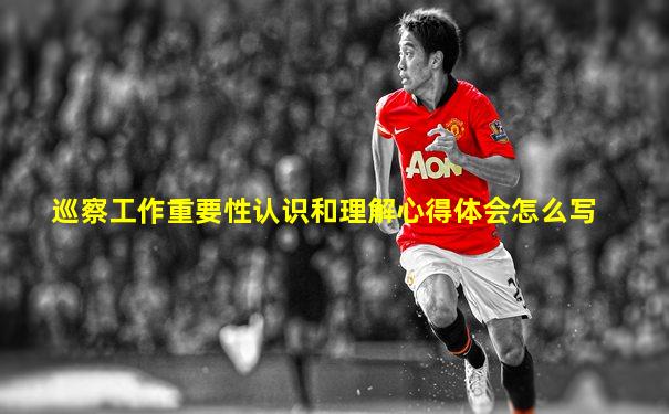 巡察工作重要性认识和理解心得体会怎么写