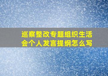 巡察整改专题组织生活会个人发言提纲怎么写