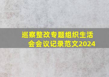 巡察整改专题组织生活会会议记录范文2024