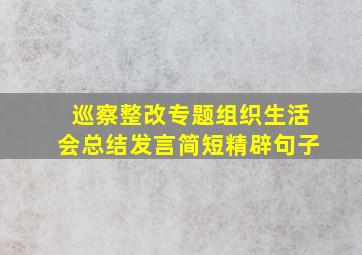 巡察整改专题组织生活会总结发言简短精辟句子