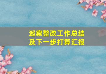 巡察整改工作总结及下一步打算汇报