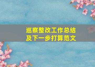 巡察整改工作总结及下一步打算范文