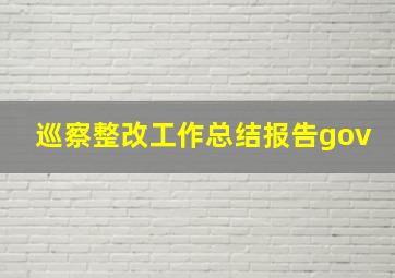 巡察整改工作总结报告gov