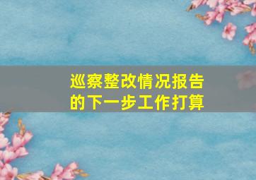 巡察整改情况报告的下一步工作打算