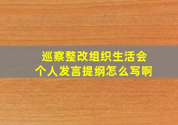 巡察整改组织生活会个人发言提纲怎么写啊