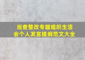 巡查整改专题组织生活会个人发言提纲范文大全