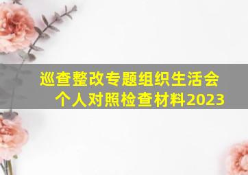 巡查整改专题组织生活会个人对照检查材料2023