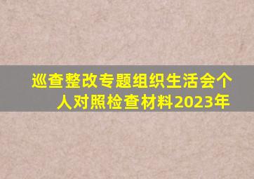 巡查整改专题组织生活会个人对照检查材料2023年