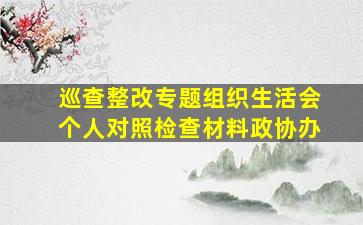 巡查整改专题组织生活会个人对照检查材料政协办