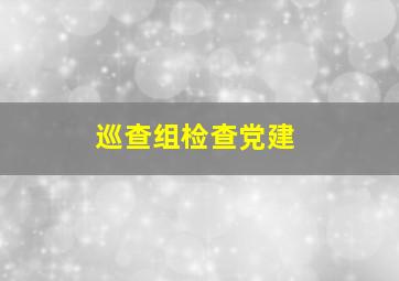 巡查组检查党建