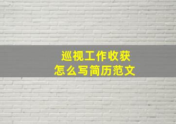 巡视工作收获怎么写简历范文