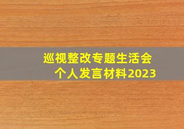 巡视整改专题生活会个人发言材料2023