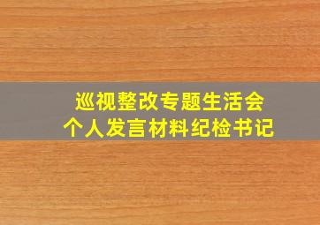 巡视整改专题生活会个人发言材料纪检书记