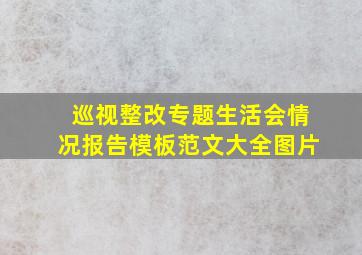 巡视整改专题生活会情况报告模板范文大全图片