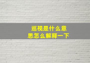 巡视是什么意思怎么解释一下