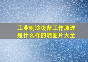 工业制冷设备工作原理是什么样的呢图片大全