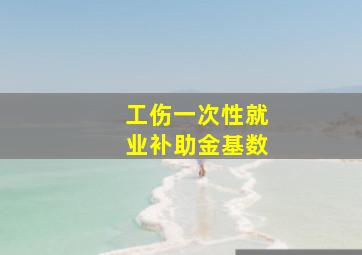 工伤一次性就业补助金基数