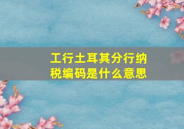 工行土耳其分行纳税编码是什么意思