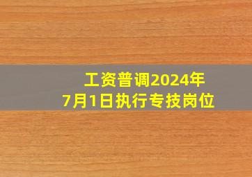 工资普调2024年7月1日执行专技岗位