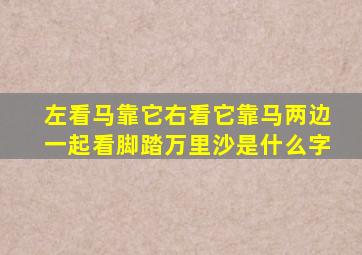 左看马靠它右看它靠马两边一起看脚踏万里沙是什么字