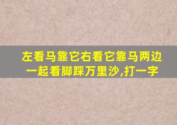 左看马靠它右看它靠马两边一起看脚踩万里沙,打一字