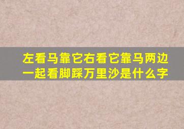 左看马靠它右看它靠马两边一起看脚踩万里沙是什么字