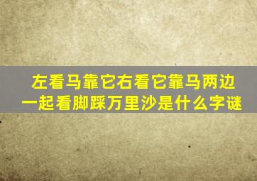 左看马靠它右看它靠马两边一起看脚踩万里沙是什么字谜