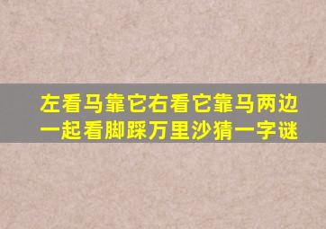 左看马靠它右看它靠马两边一起看脚踩万里沙猜一字谜