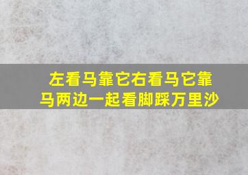 左看马靠它右看马它靠马两边一起看脚踩万里沙