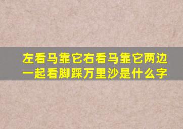 左看马靠它右看马靠它两边一起看脚踩万里沙是什么字