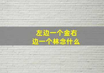 左边一个金右边一个林念什么